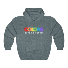 Load image into Gallery viewer, Colors Have No Gender Hoodie
