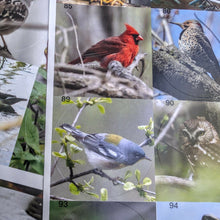 Load image into Gallery viewer, Ontario Bird Sticker Book
