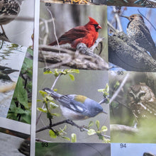 Load image into Gallery viewer, Ontario Bird Sticker Book
