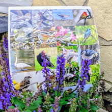 Load image into Gallery viewer, Ontario Bird Sticker Book

