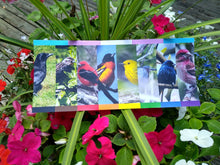 Load image into Gallery viewer, Bird Pride Flag Sticker
