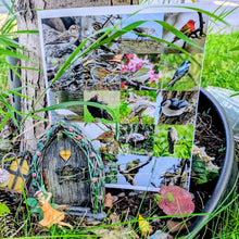 Load image into Gallery viewer, Ontario Bird Sticker Book

