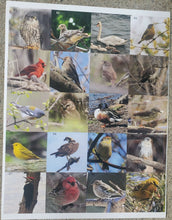 Load image into Gallery viewer, Ontario Bird Sticker Book
