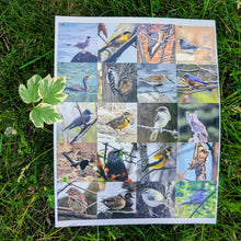 Load image into Gallery viewer, Ontario Bird Sticker Book
