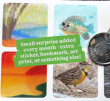 Load image into Gallery viewer, Letters from a Bird - Snail Mail Club (Yearly - 12 letters - CANADA &amp; US)
