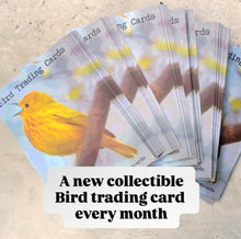Load image into Gallery viewer, Letters from a Bird - Snail Mail Club (Yearly - 12 letters - CANADA &amp; US)
