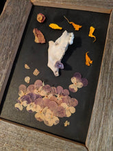 Load image into Gallery viewer, Mandible with amethyst and dried flowers framed shadowbox
