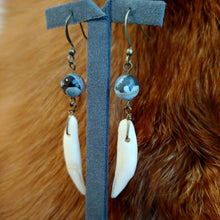 Load image into Gallery viewer, Coyote Fang Earrings - *REAL BONE*
