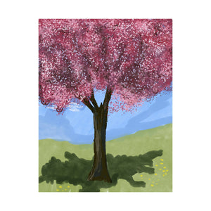 Cherry Blossom Tree