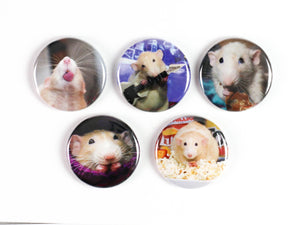 Cute Ratties! Pinback Buttons or Strong Ceramic Magnets