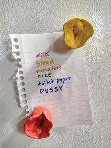 Pussy Magnets