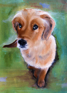 Custom Oil Painting Pet Portrait
