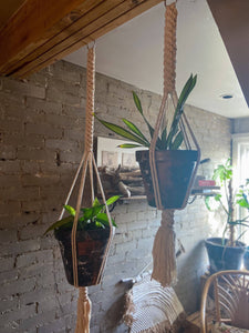 Minimalist Plant and Bowl Hanger