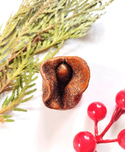 Load image into Gallery viewer, Vulva Ornament - Brown
