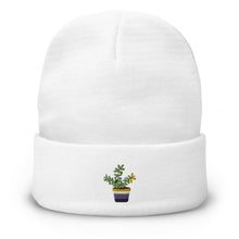Load image into Gallery viewer, Non Binary plant embroidered beanie
