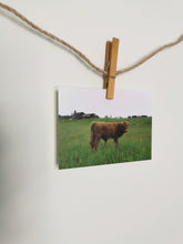 Load image into Gallery viewer, local views (cow) postcard
