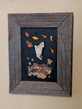 Load image into Gallery viewer, Mandible with amethyst and dried flowers framed shadowbox

