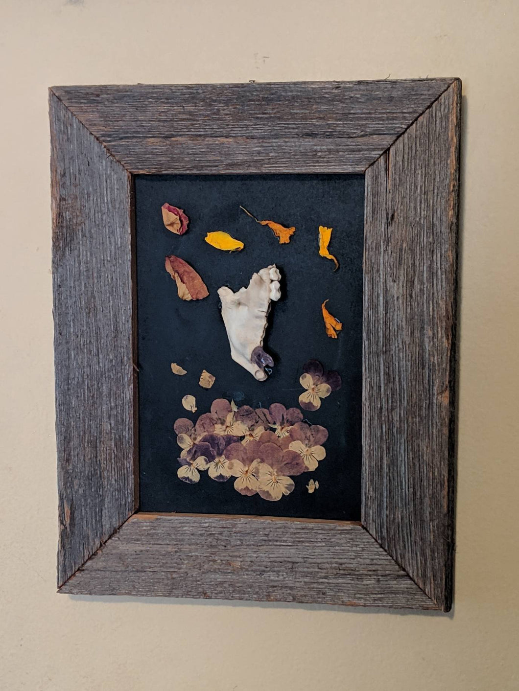 Mandible with amethyst and dried flowers framed shadowbox