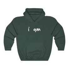 Load image into Gallery viewer, “I AM WEALTHY” Hoodie
