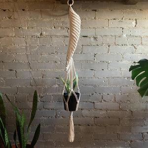 Spiral Plant Hanger