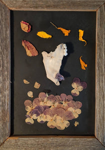 Mandible with amethyst and dried flowers framed shadowbox