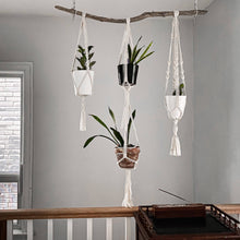 Load image into Gallery viewer, 3-in-1 plant hanger
