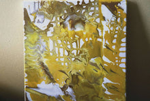 Load image into Gallery viewer, Golden - Acrylic pour painting
