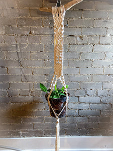 Tapestry-Plant Hanger