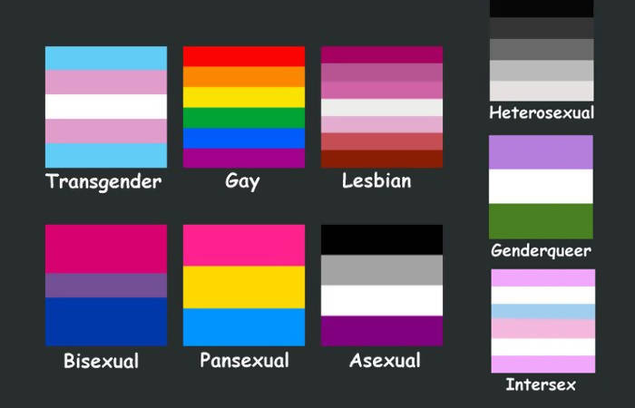 TRANS Flags 🏳️‍⚧️