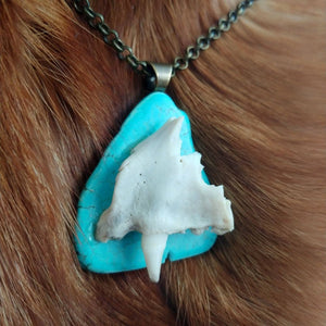 Raccoon Skull Fragment and Stone Necklace - *REAL BONE*